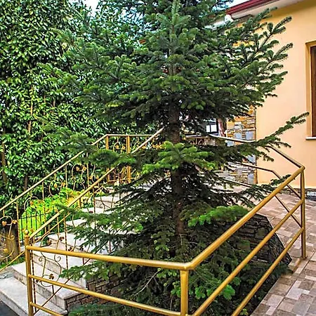 Edem 3*